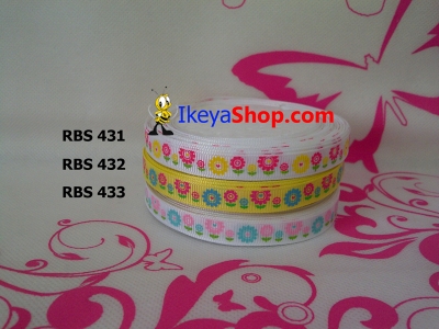 Pita RBS 431 433  large2